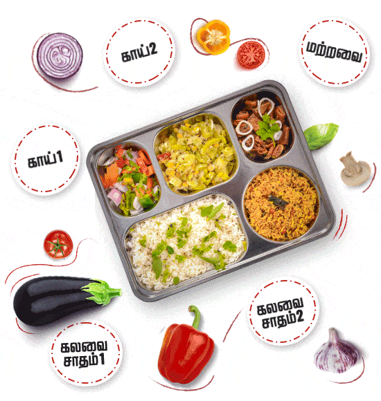 Fresh healthy meals presentation